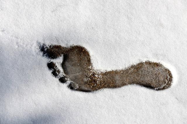 stopa ve sněhu